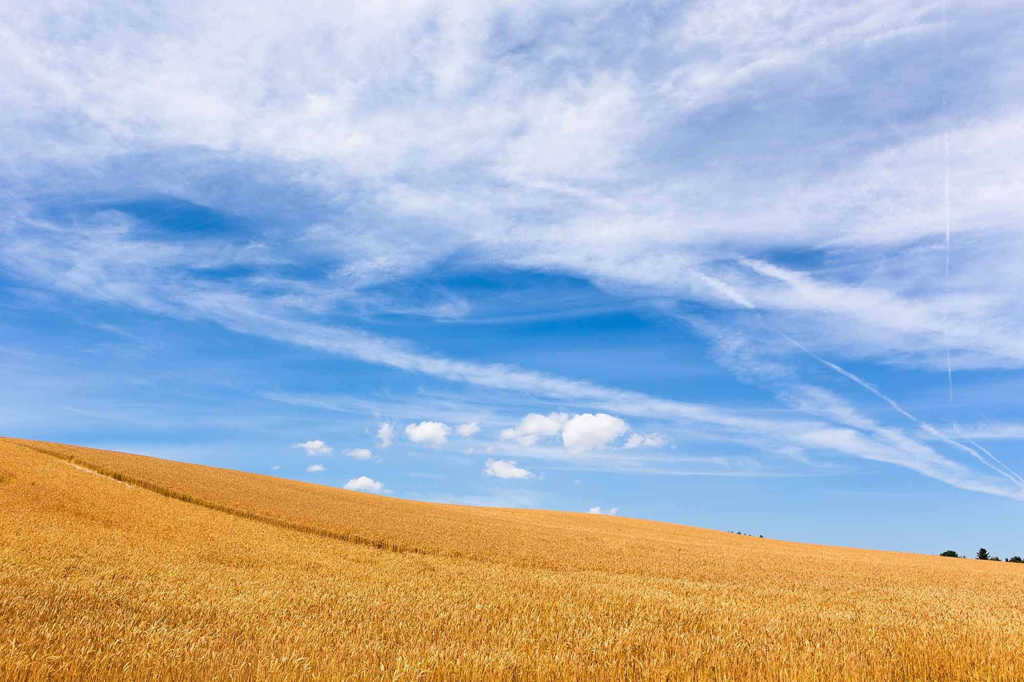 (写真:Hirayama Toshiya/stock.adobe.com) (写真:Hirayama Toshiya/stock.adobe.com)