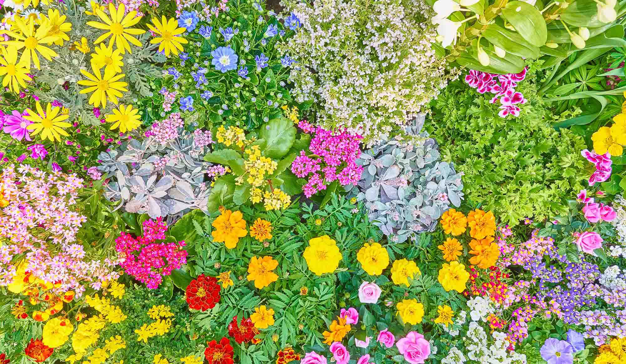 (写真:8man/stock.adobe.com) (写真:8man/stock.adobe.com)