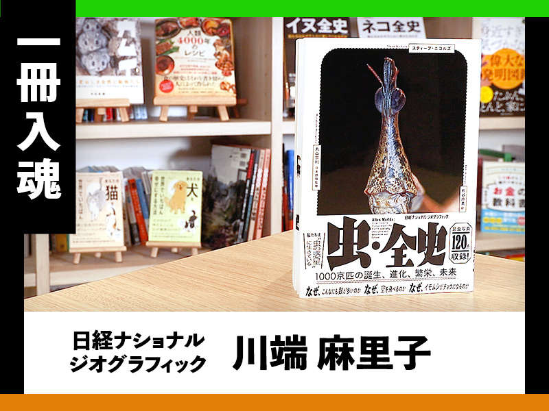 『虫・全史　1000京匹の誕生、進化、繁栄、未来』を編集者が解説