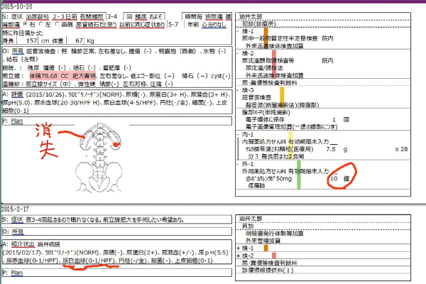 電子カルテの例(泌尿器科)(提供/アライドメディカル) 電子カルテの例(泌尿器科)(提供/アライドメディカル)