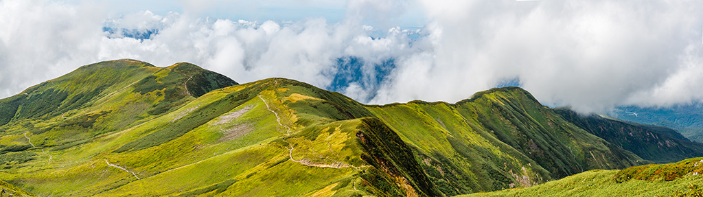 （写真：taka／stock.adobe.com）