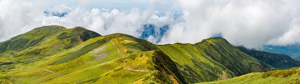 (写真:taka/stock.adobe.com) (写真:taka/stock.adobe.com)
