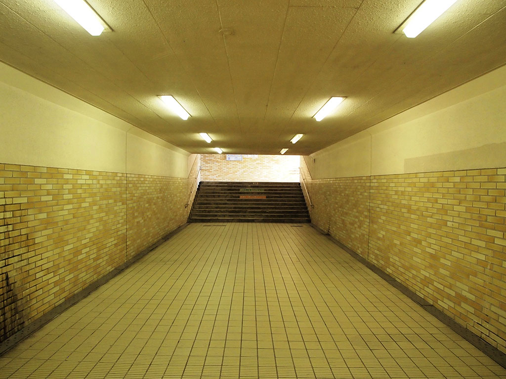 （写真：komagym／stock.adobe.com）