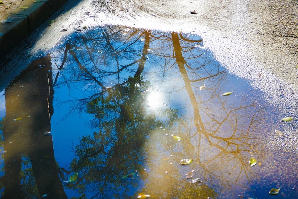 (写真:Hanasaki/stock.adobe.com) (写真:Hanasaki/stock.adobe.com)